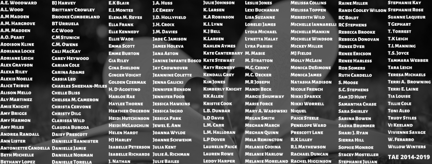 TAE FULL Banner as of 2019-2